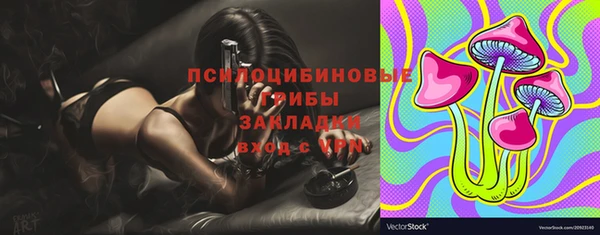 apvp Балахна